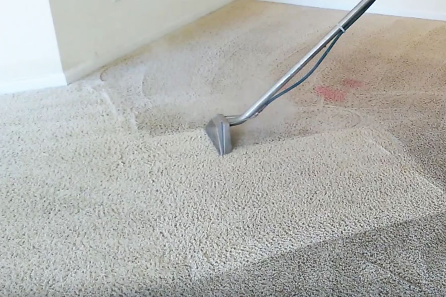 carpet stain & spot removal cork rj services